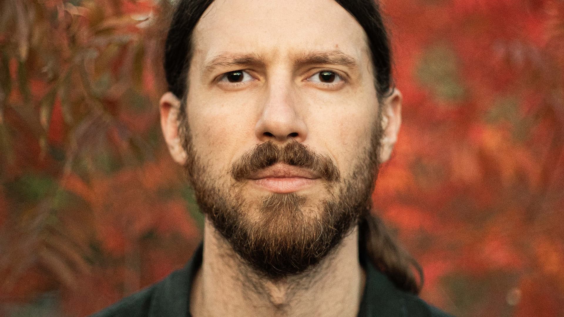 Fortune Favours the Bold