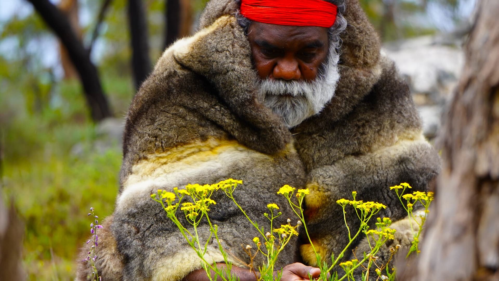 The Mysterious Maiden of Montefiores