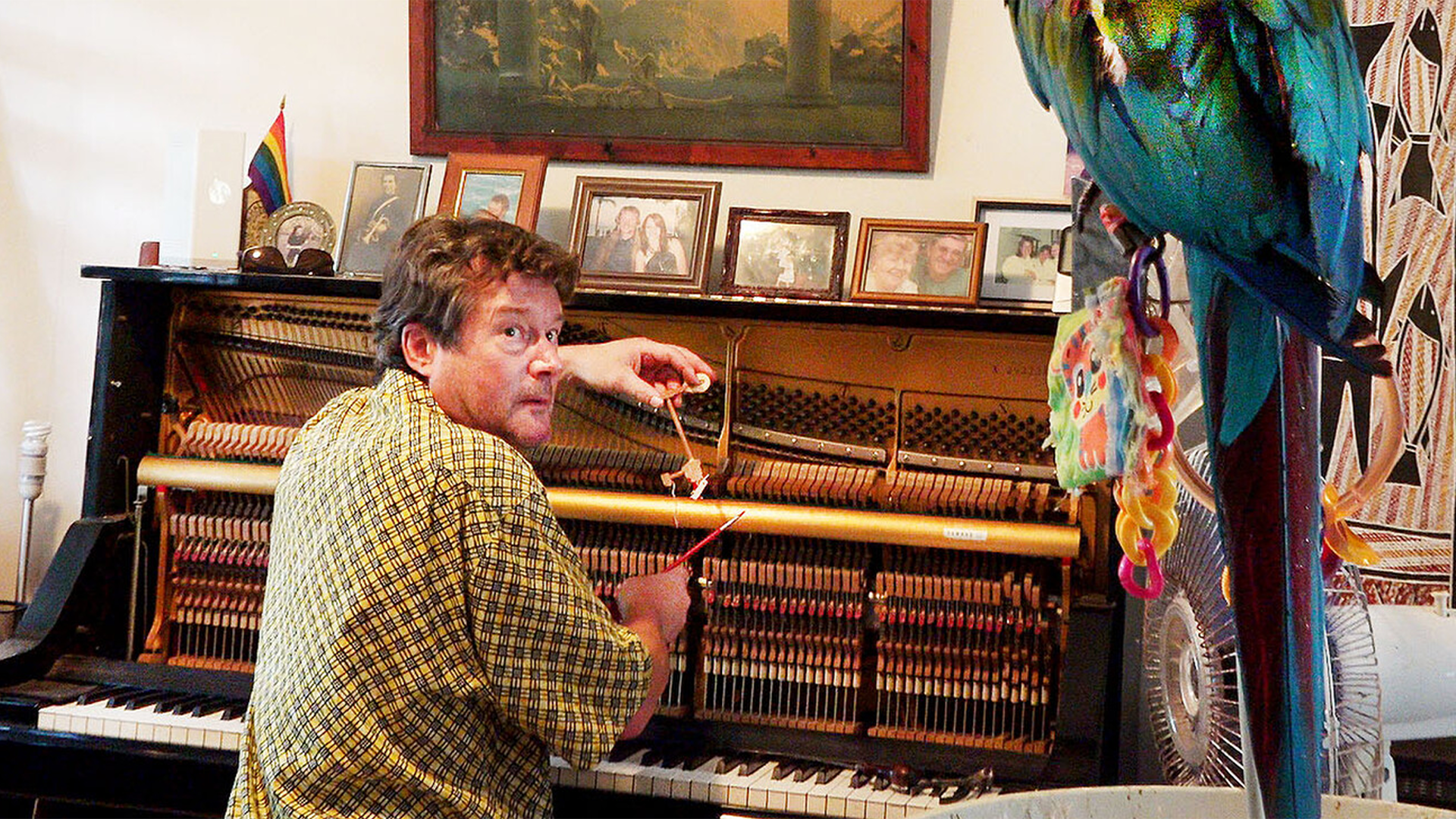 The Piano Tuner